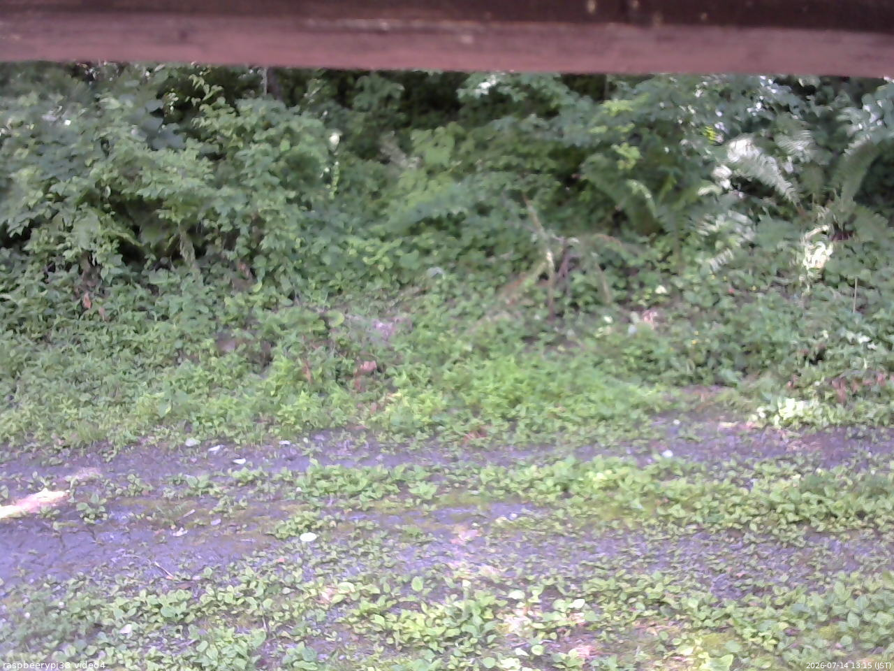 長野県菅平高原 ゆたか山荘 東側(坂下) 2026/07/14 13:15