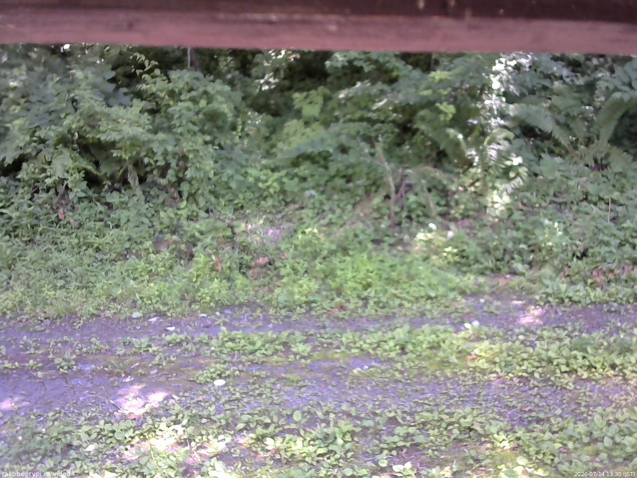 長野県菅平高原 ゆたか山荘 東側(坂下) 2026/07/14 13:30