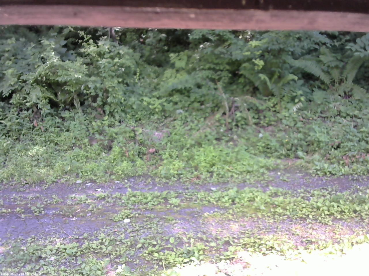 長野県菅平高原 ゆたか山荘 東側(坂下) 2026/07/14 14:15