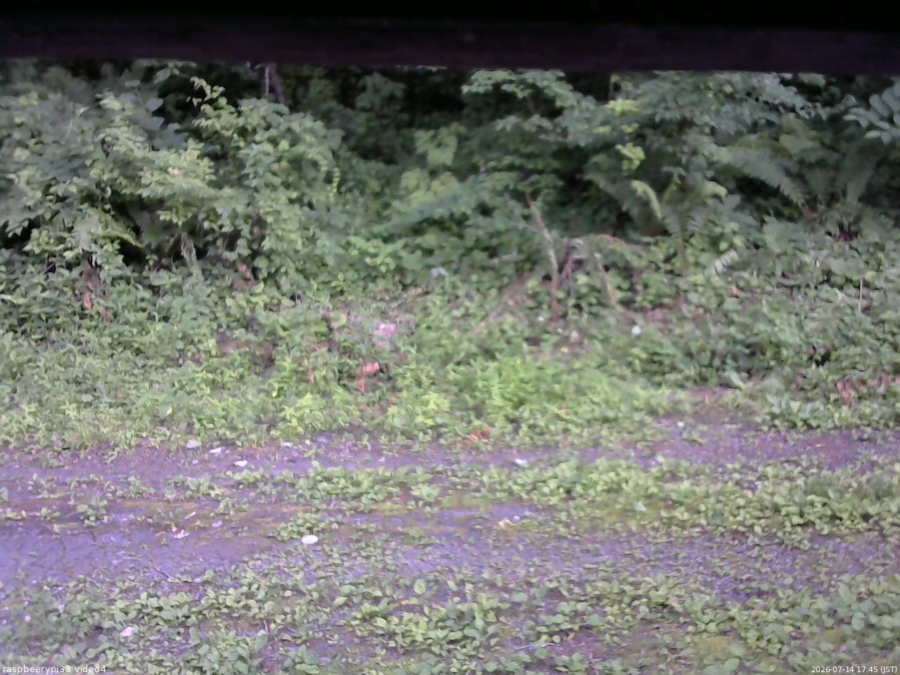 長野県菅平高原 ゆたか山荘 東側(坂下) 2026/07/14 17:45