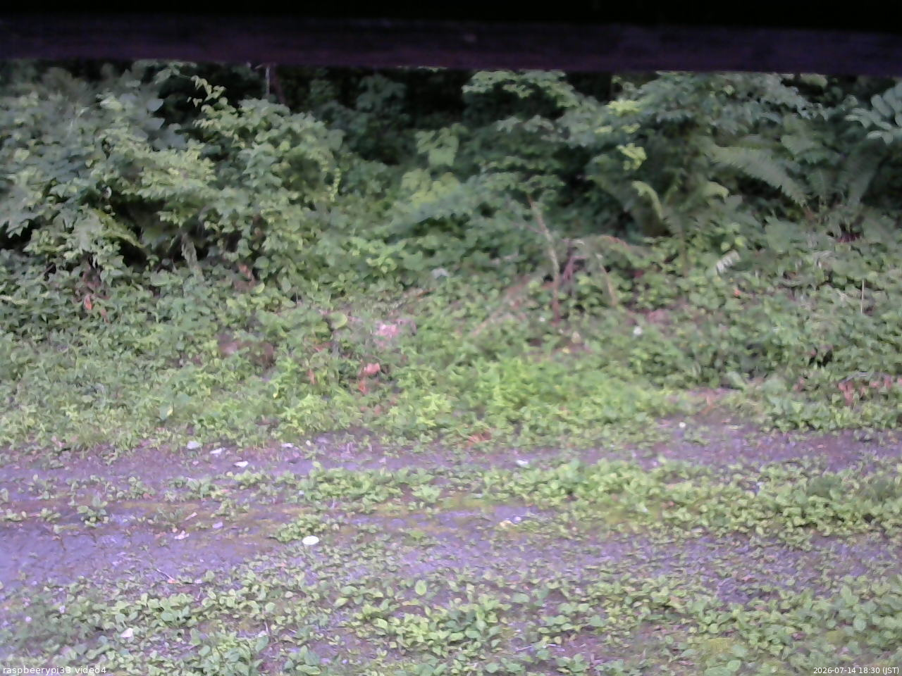 長野県菅平高原 ゆたか山荘 東側(坂下) 2026/07/14 18:30