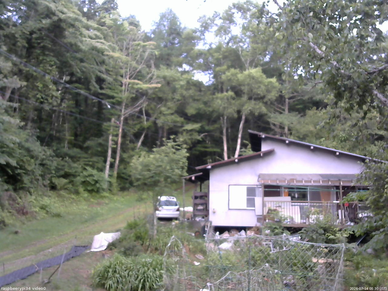 長野県菅平高原 ゆたか山荘 西側(坂上) 2026/07/14 05:30