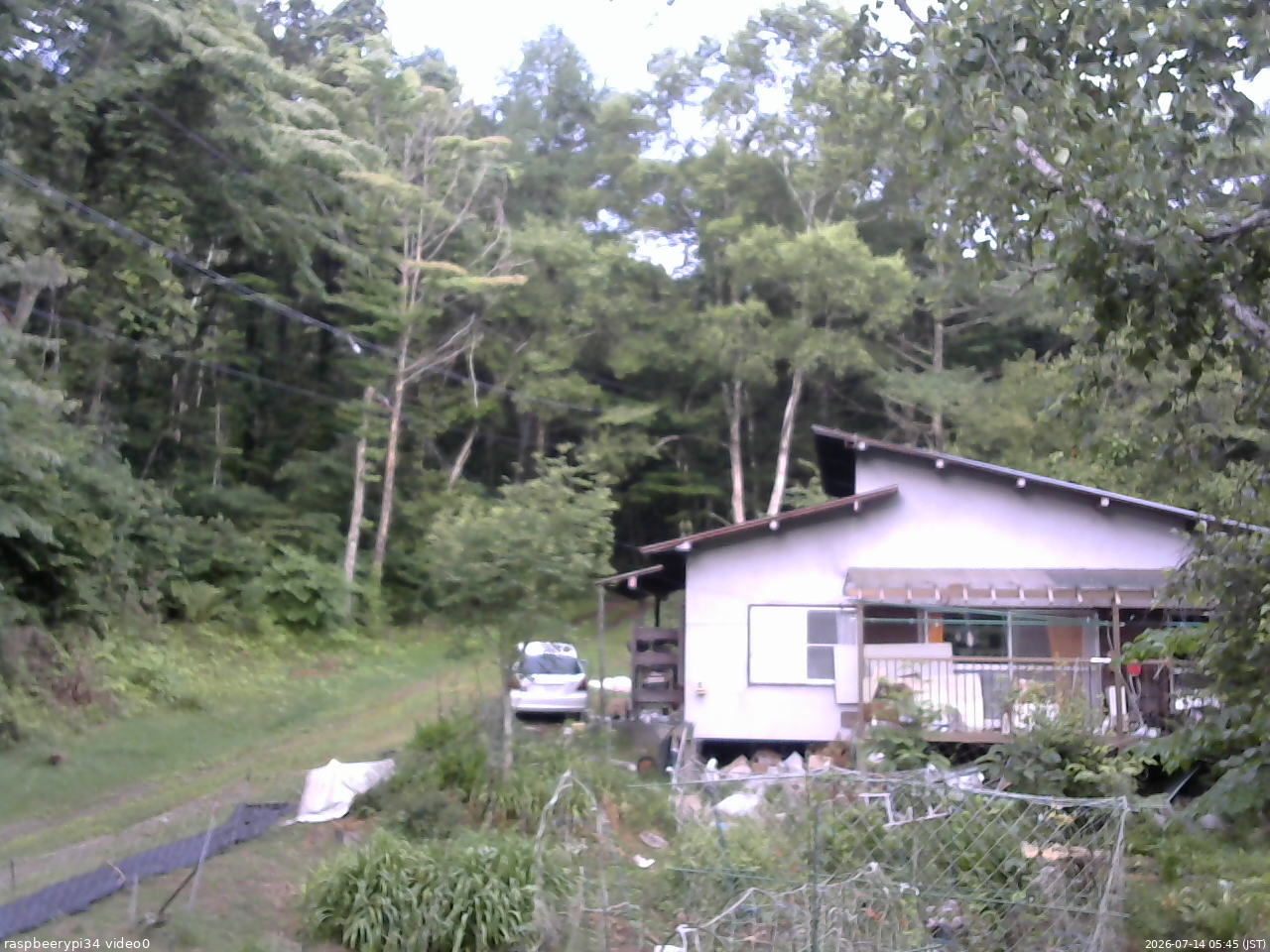 長野県菅平高原 ゆたか山荘 西側(坂上) 2026/07/14 05:45