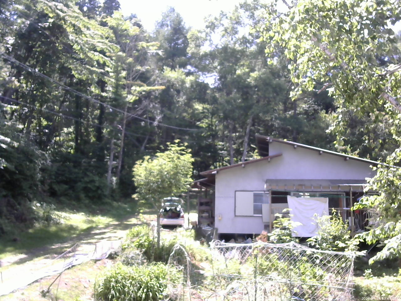 長野県菅平高原 ゆたか山荘 西側(坂上) 2026/07/14 13:45