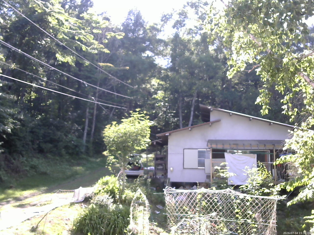 長野県菅平高原 ゆたか山荘 西側(坂上) 2026/07/14 15:30