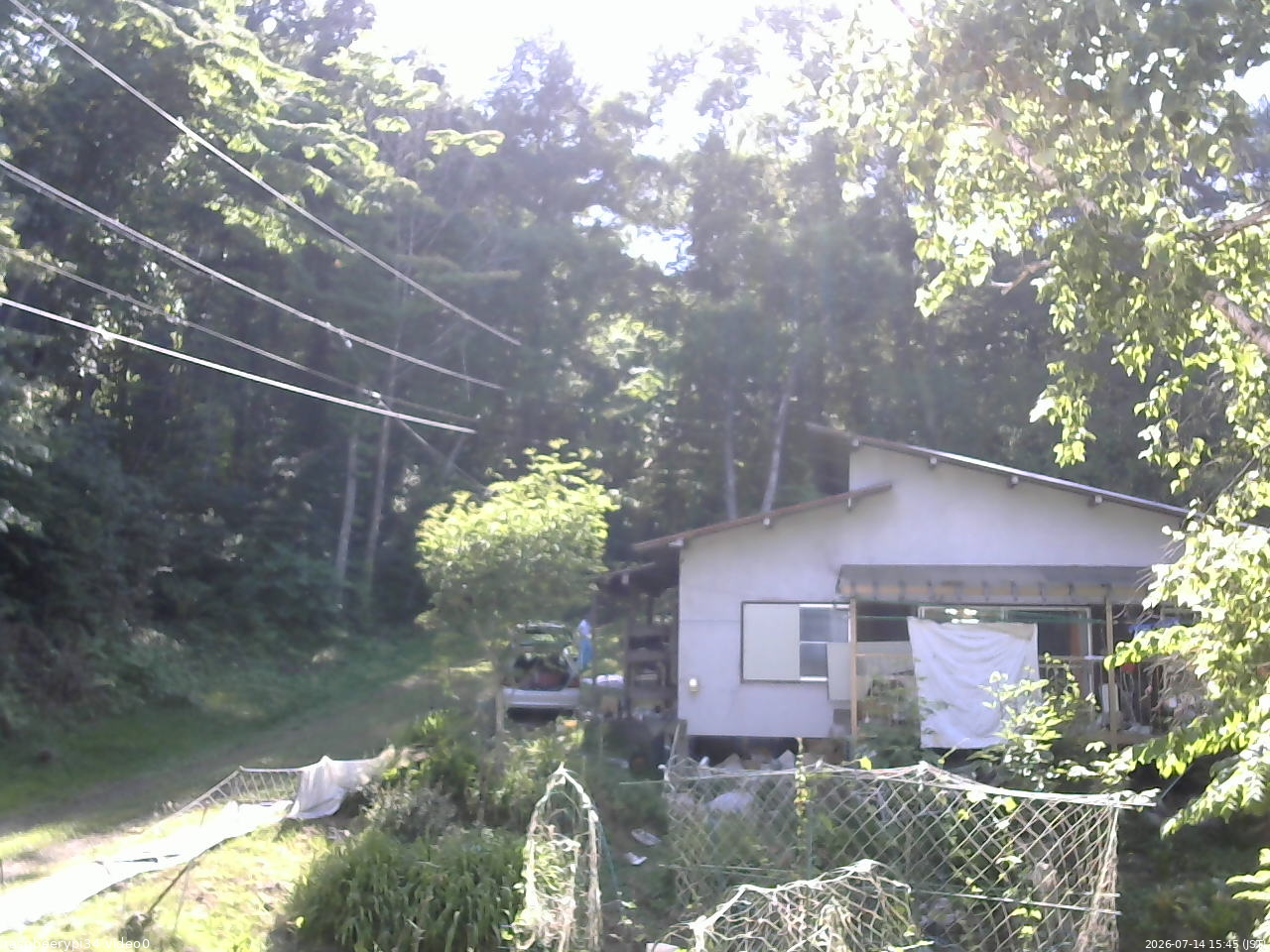 長野県菅平高原 ゆたか山荘 西側(坂上) 2026/07/14 15:45