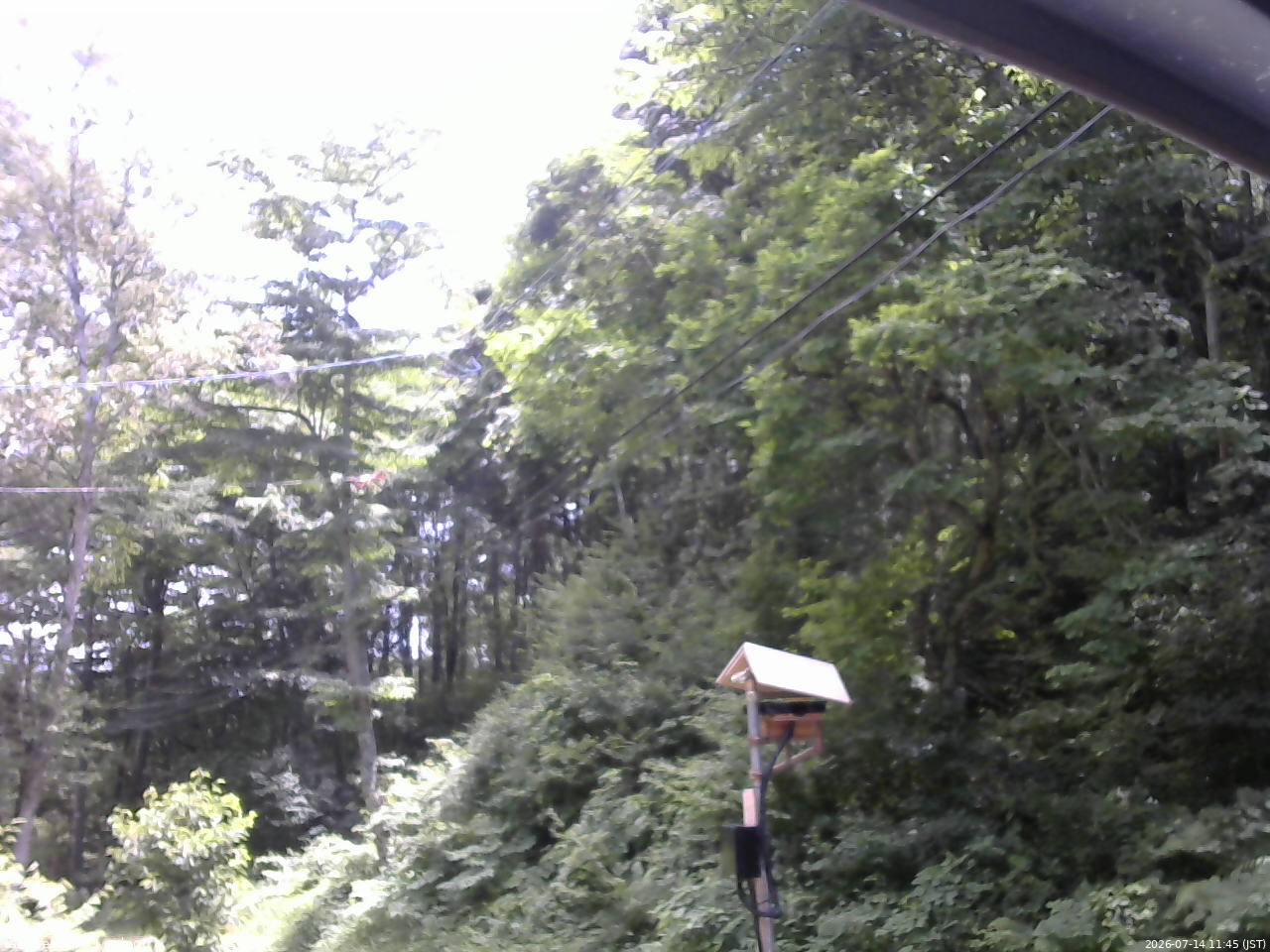 長野県菅平高原 ゆたか山荘 温度計 2026/07/14 11:45