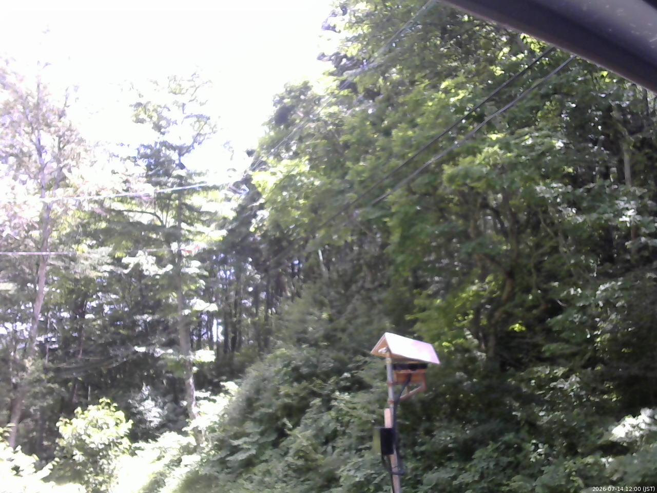 長野県菅平高原 ゆたか山荘 温度計 2026/07/14 12:00