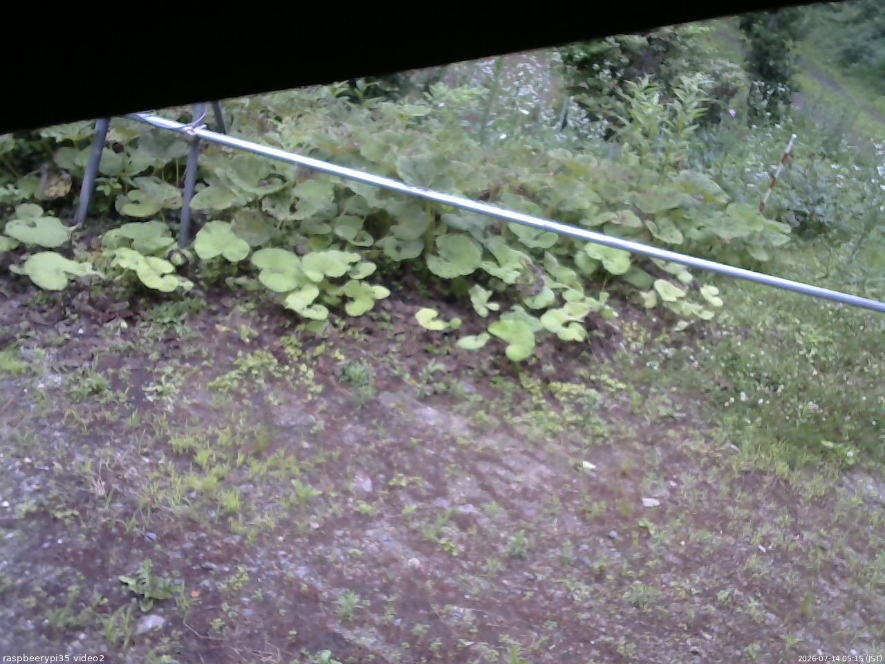 長野県菅平高原 ゆたか山荘 駐車場 2026/07/14 05:15