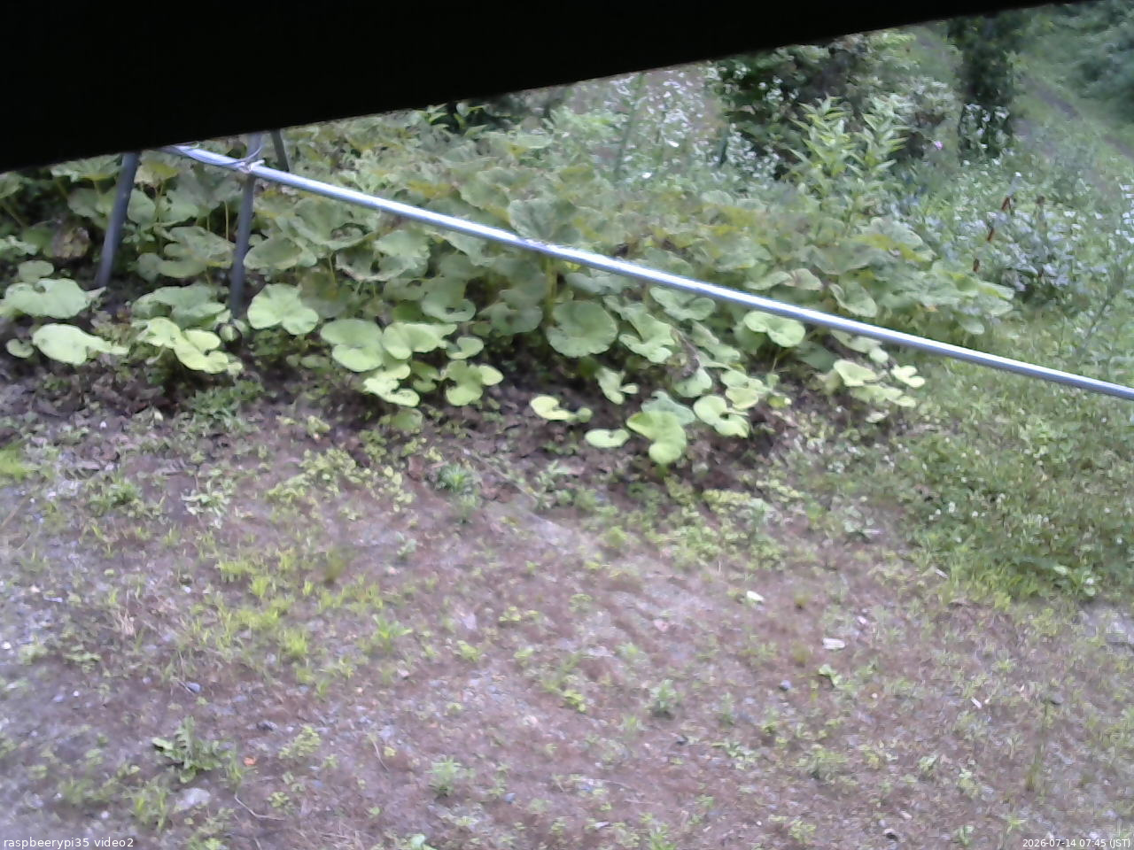 長野県菅平高原 ゆたか山荘 駐車場 2026/07/14 07:45
