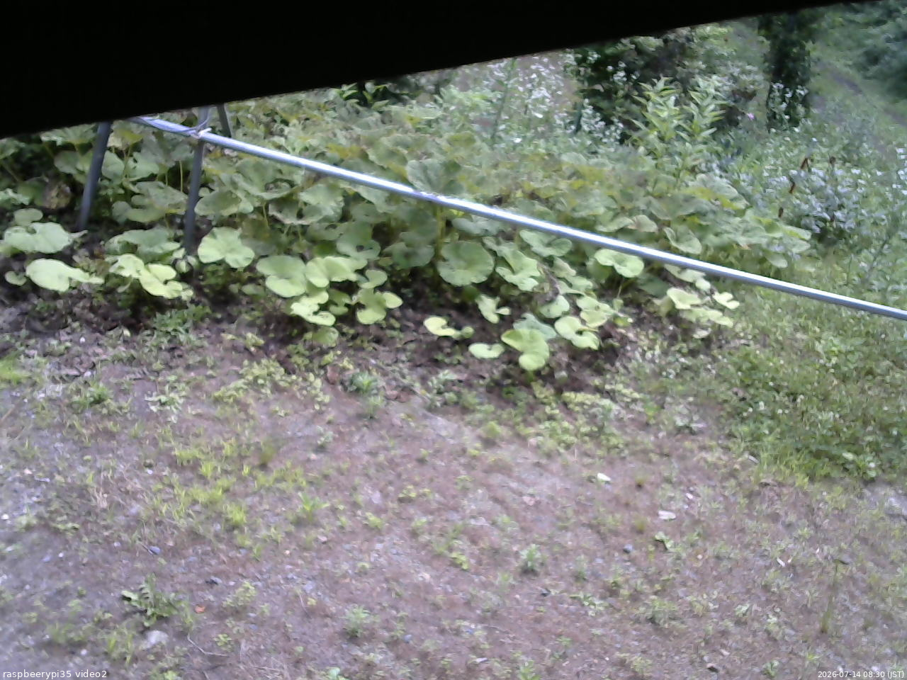 長野県菅平高原 ゆたか山荘 駐車場 2026/07/14 08:30