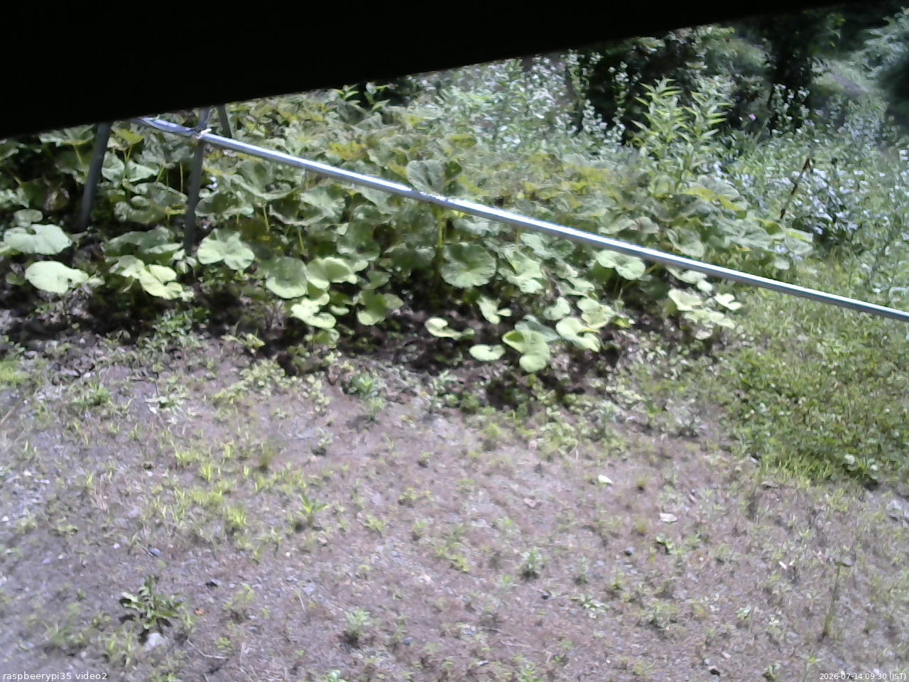長野県菅平高原 ゆたか山荘 駐車場 2026/07/14 09:30