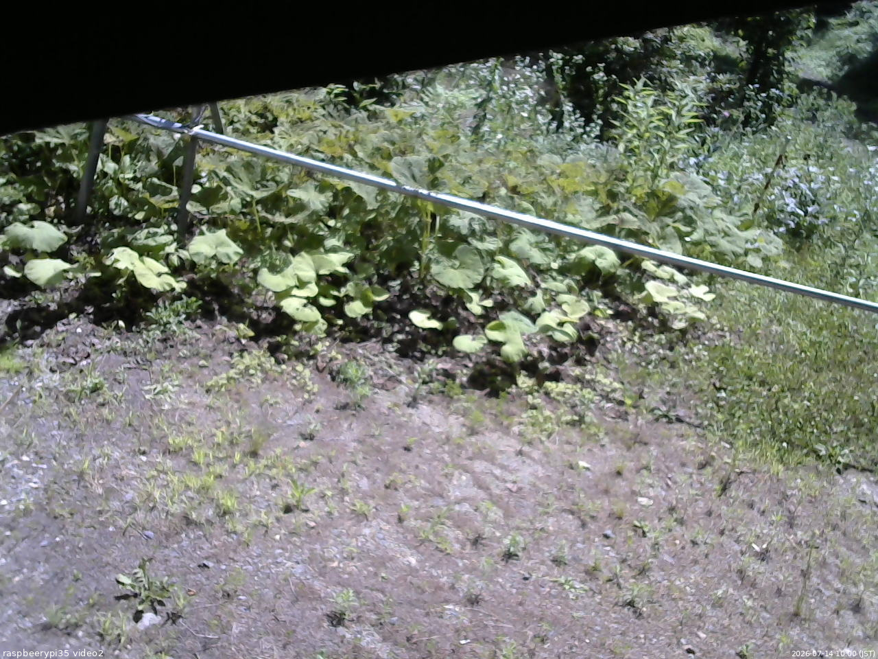 長野県菅平高原 ゆたか山荘 駐車場 2026/07/14 10:00