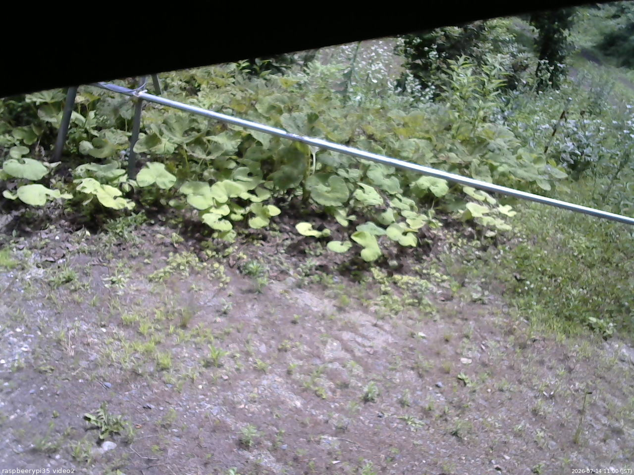 長野県菅平高原 ゆたか山荘 駐車場 2026/07/14 11:00