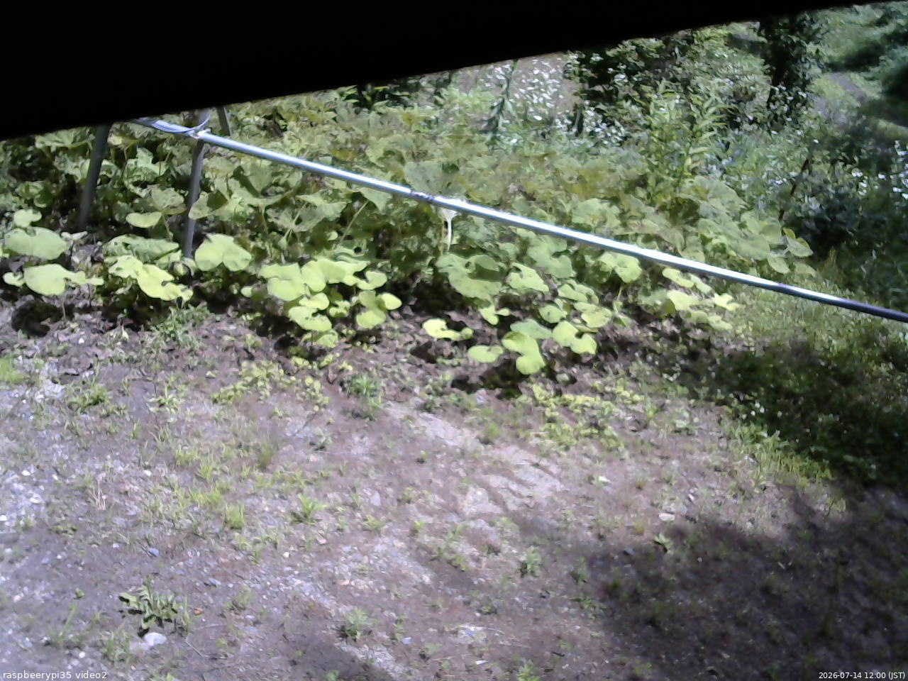 長野県菅平高原 ゆたか山荘 駐車場 2026/07/14 12:00