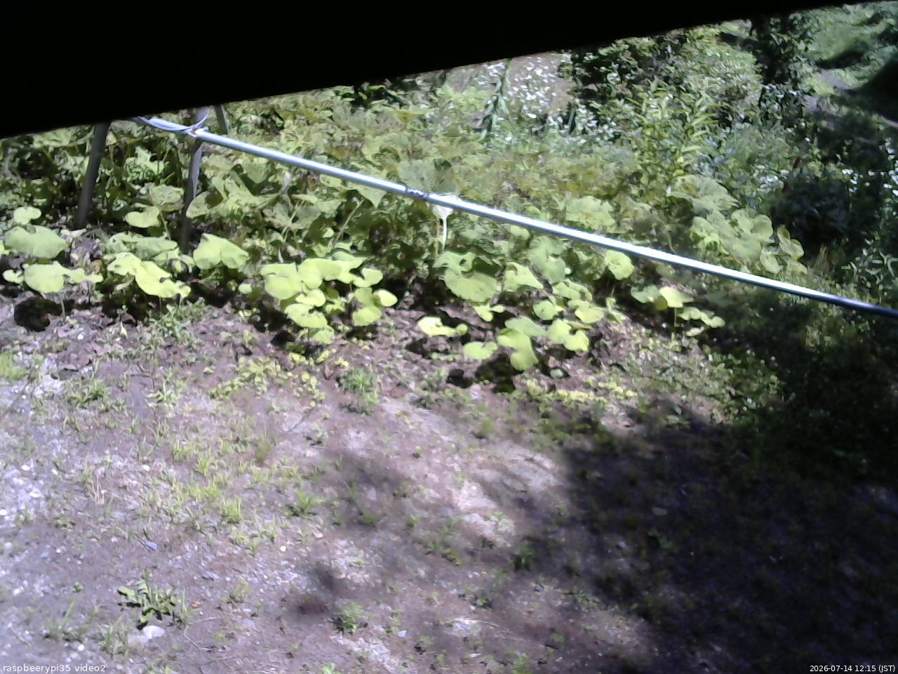 長野県菅平高原 ゆたか山荘 駐車場 2026/07/14 12:15