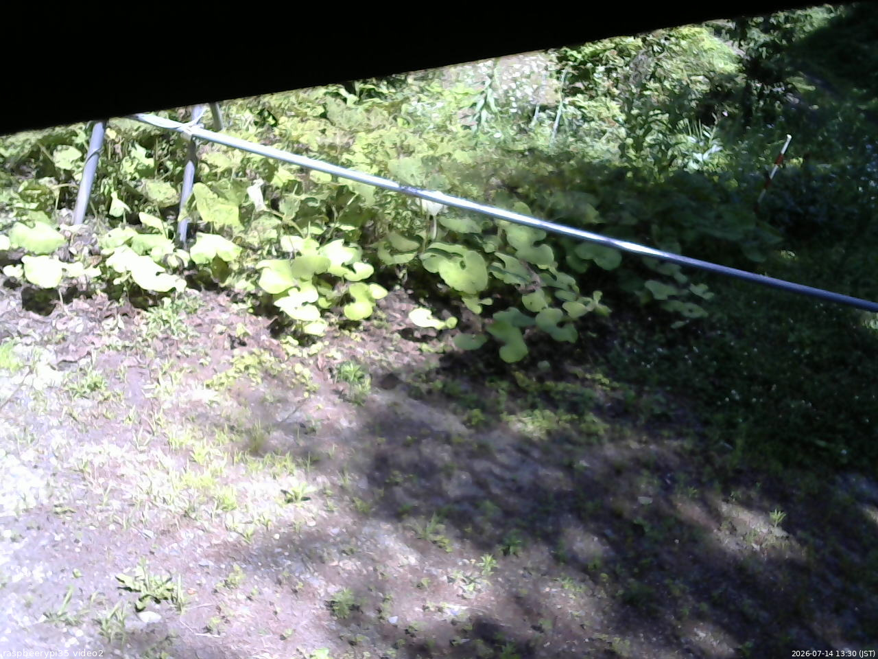 長野県菅平高原 ゆたか山荘 駐車場 2026/07/14 13:30