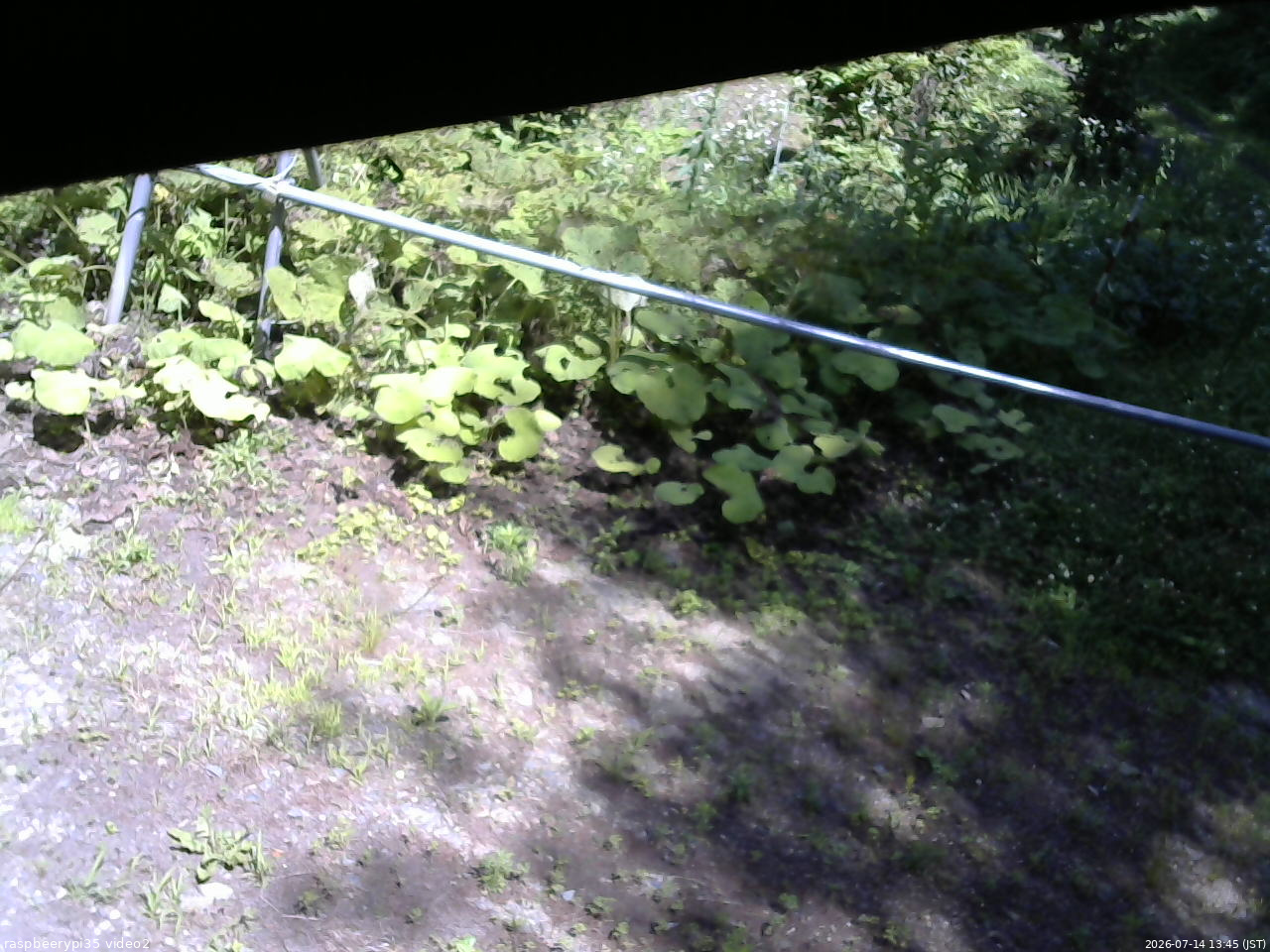長野県菅平高原 ゆたか山荘 駐車場 2026/07/14 13:45