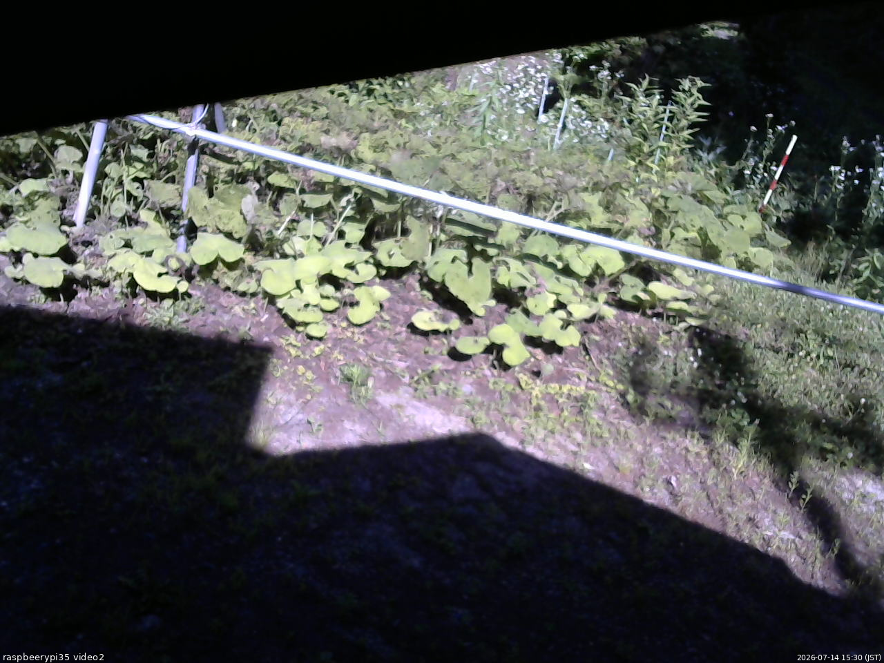 長野県菅平高原 ゆたか山荘 駐車場 2026/07/14 15:30