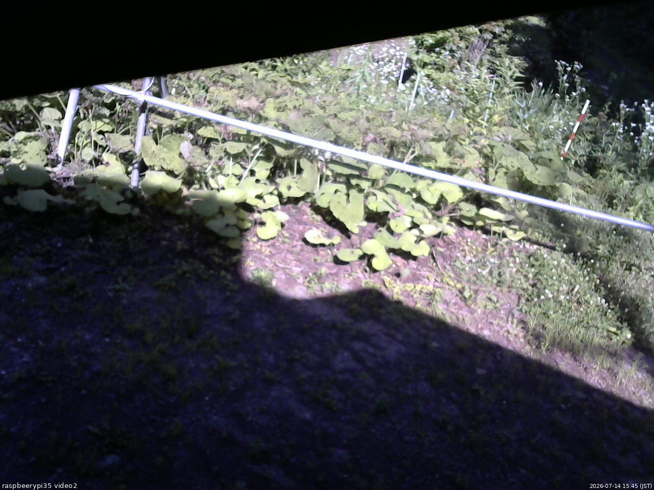長野県菅平高原 ゆたか山荘 駐車場 2026/07/14 15:45