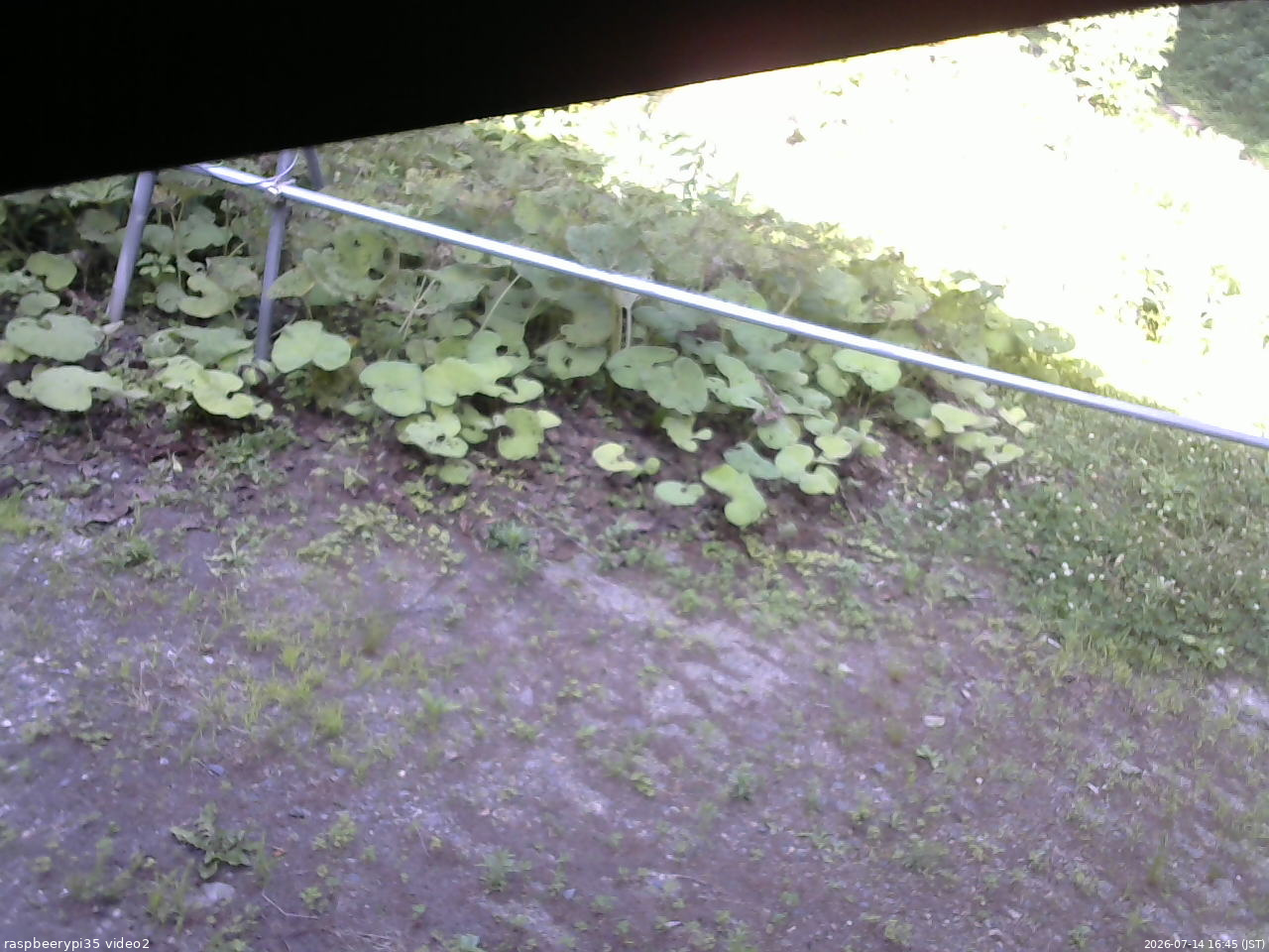 長野県菅平高原 ゆたか山荘 駐車場 2026/07/14 16:45