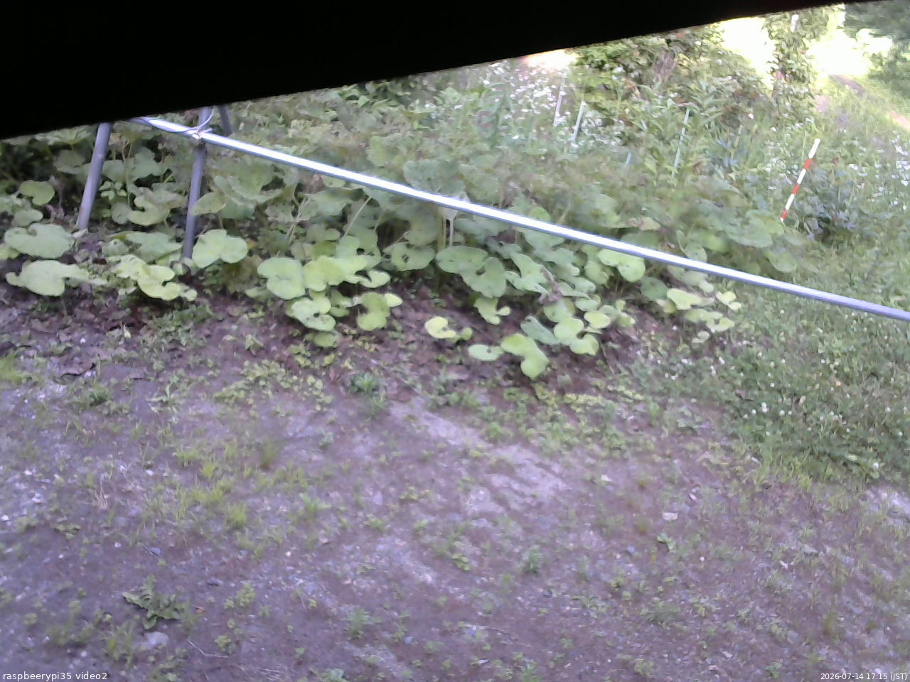 長野県菅平高原 ゆたか山荘 駐車場 2026/07/14 17:15