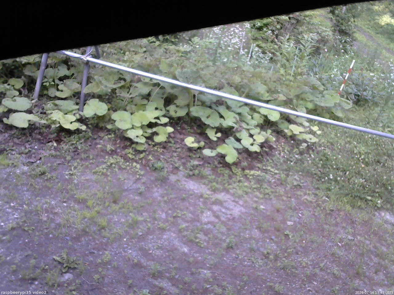 長野県菅平高原 ゆたか山荘 駐車場 2026/07/14 17:45