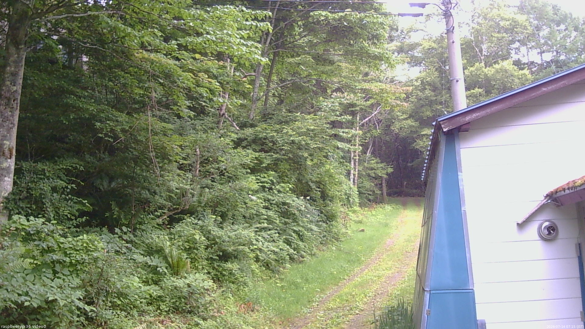 長野県菅平高原 ゆたか山荘 ゆたか山荘 2026/07/14 07:15