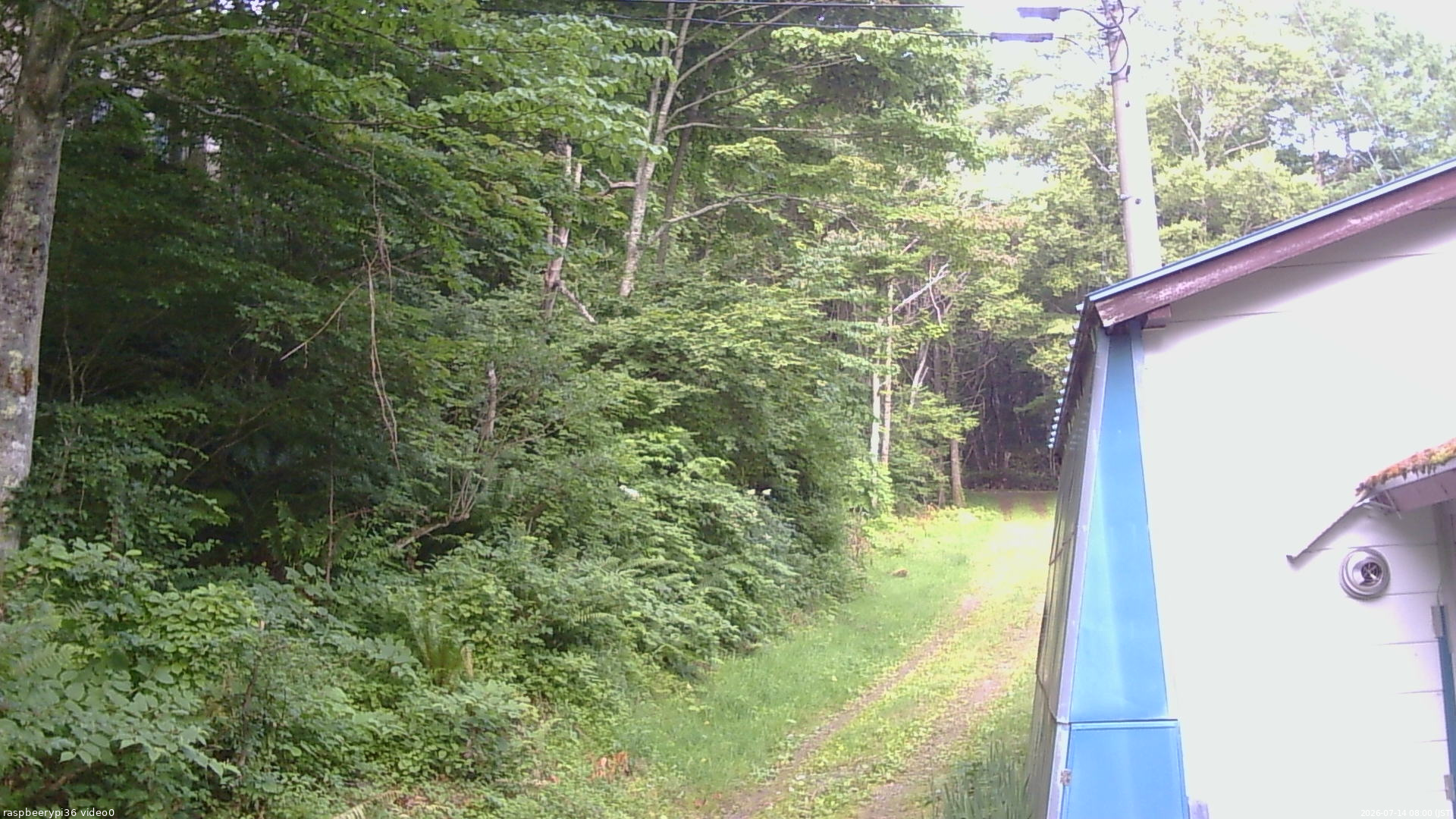 長野県菅平高原 ゆたか山荘 ゆたか山荘 2026/07/14 08:00