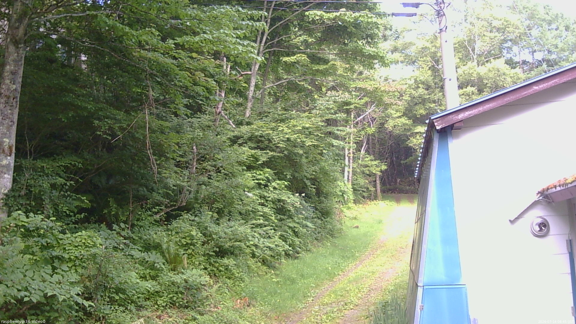 長野県菅平高原 ゆたか山荘 ゆたか山荘 2026/07/14 08:45