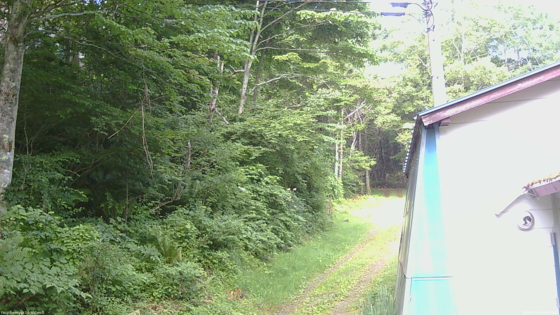 長野県菅平高原 ゆたか山荘 ゆたか山荘 2026/07/14 09:00