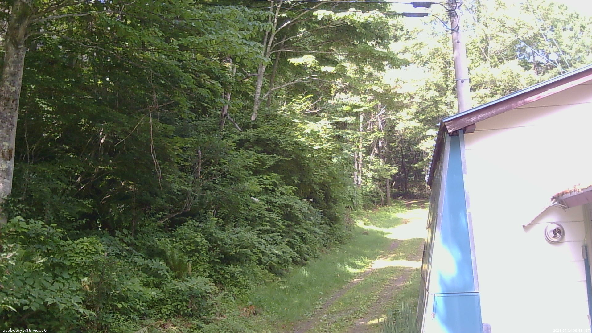 長野県菅平高原 ゆたか山荘 ゆたか山荘 2026/07/14 09:45