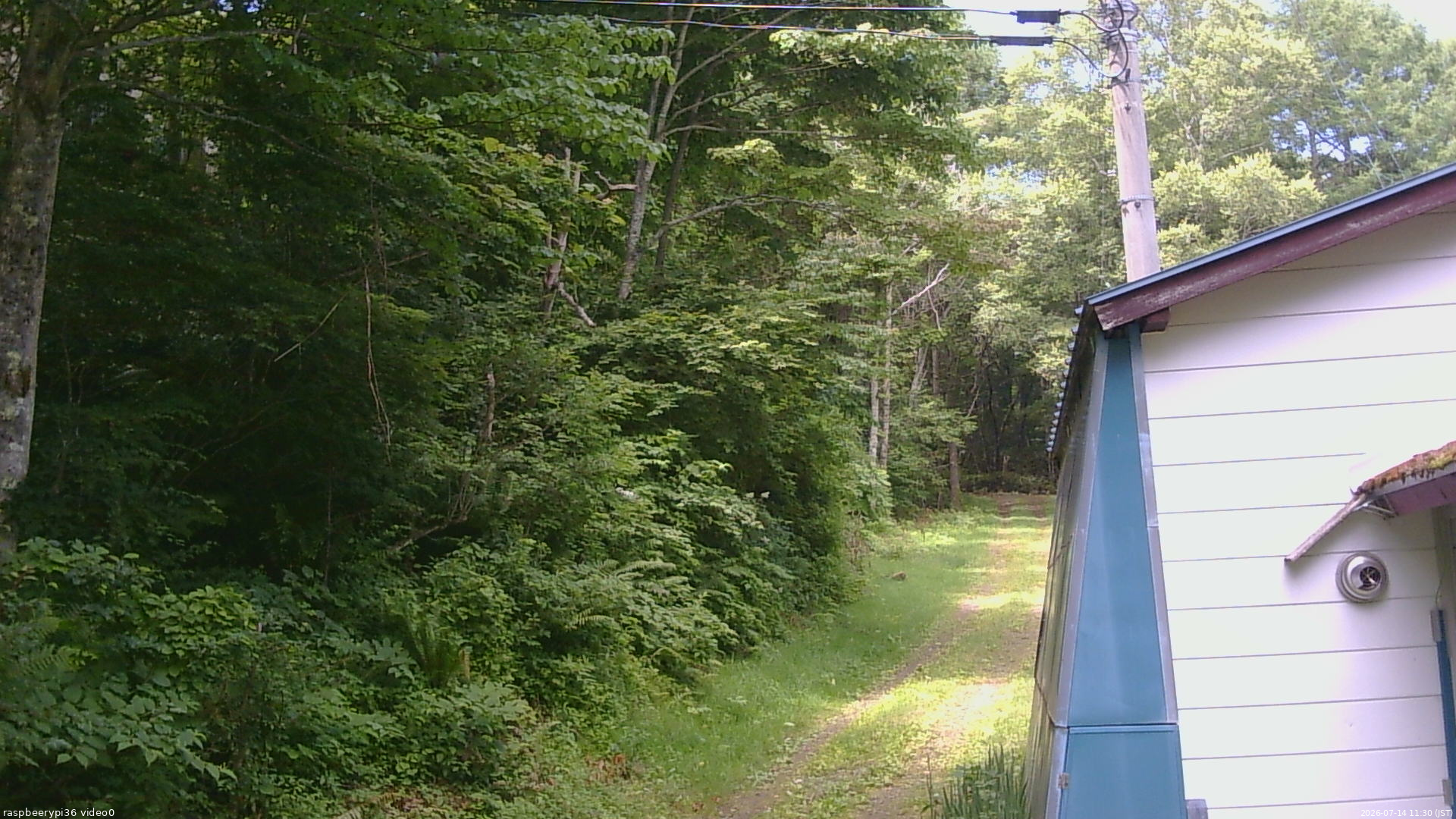 長野県菅平高原 ゆたか山荘 ゆたか山荘 2026/07/14 11:30