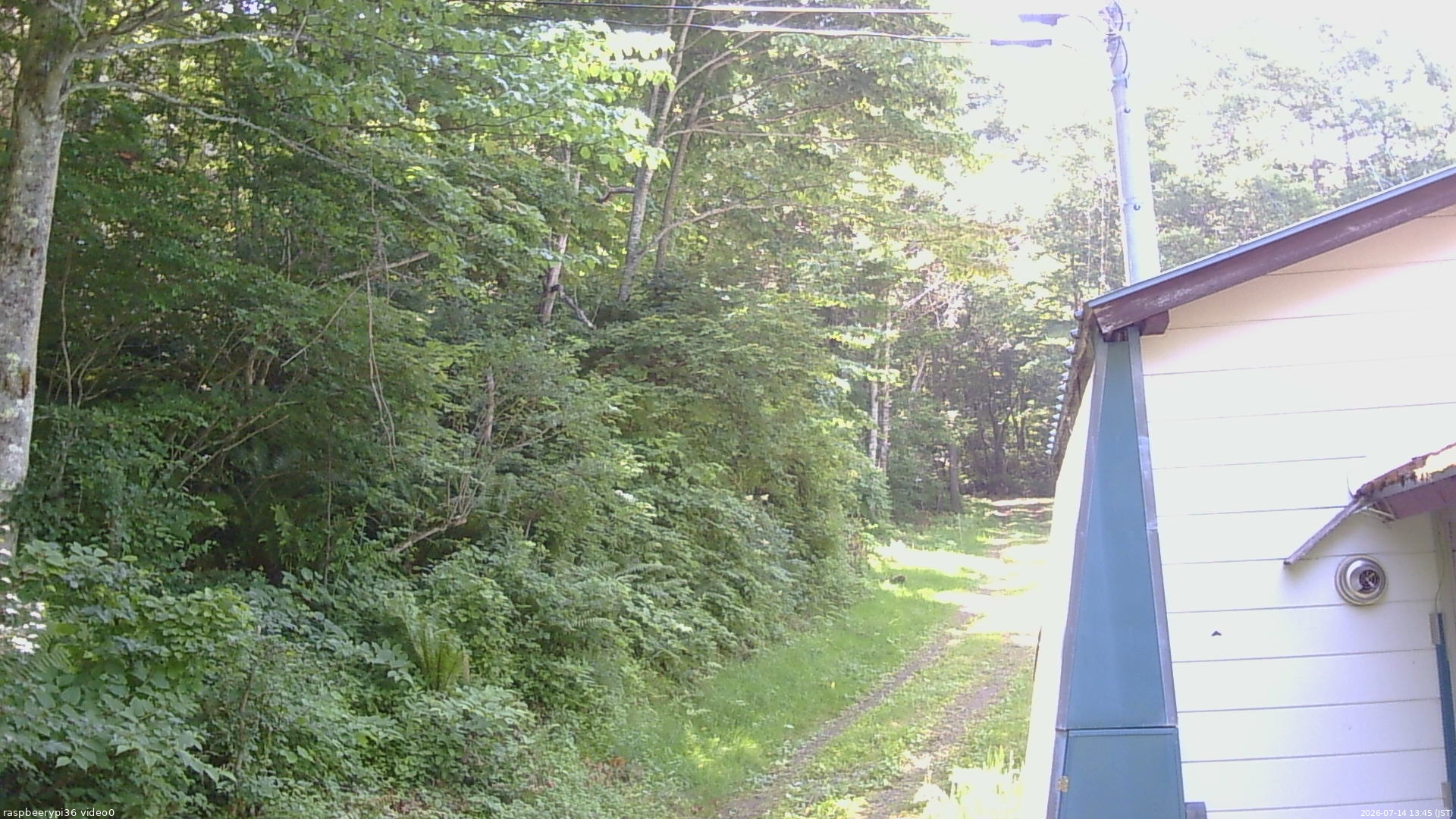 長野県菅平高原 ゆたか山荘 ゆたか山荘 2026/07/14 13:45