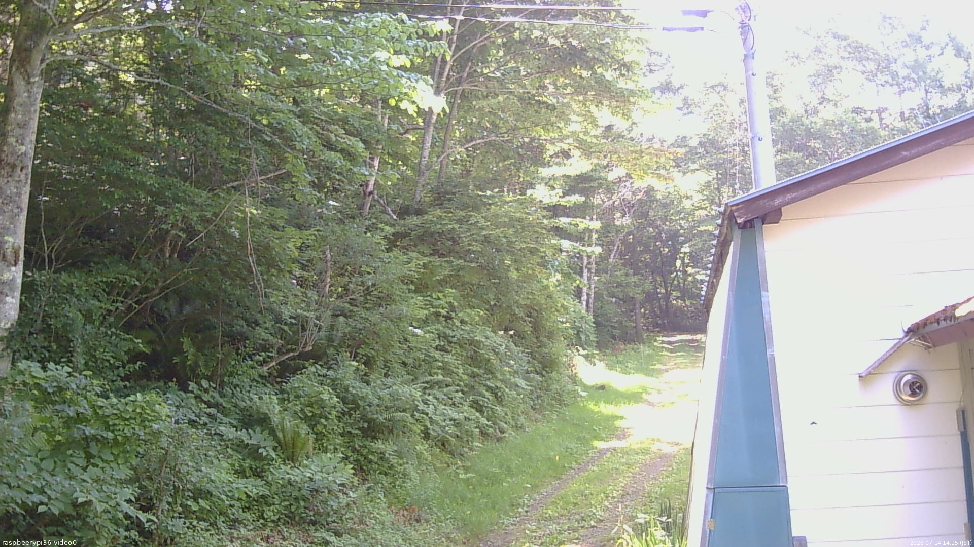 長野県菅平高原 ゆたか山荘 ゆたか山荘 2026/07/14 14:15