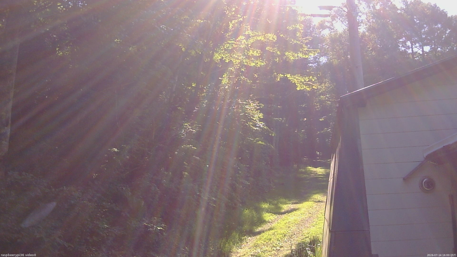 長野県菅平高原 ゆたか山荘 ゆたか山荘 2026/07/14 16:00