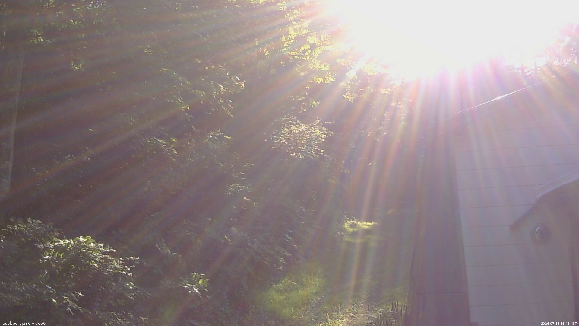 長野県菅平高原 ゆたか山荘 ゆたか山荘 2026/07/14 16:45