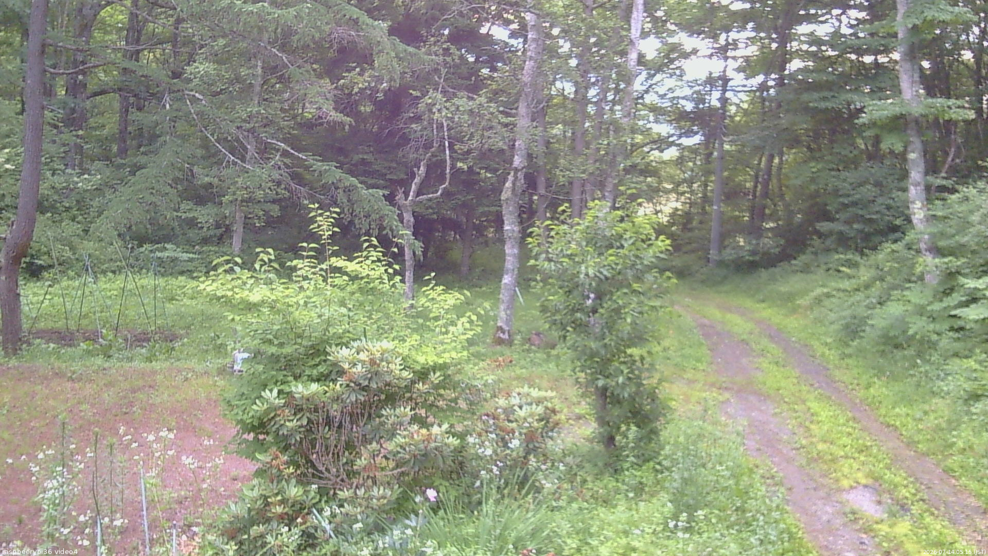 長野県菅平高原 ゆたか山荘 坂上 2026/07/14 05:15