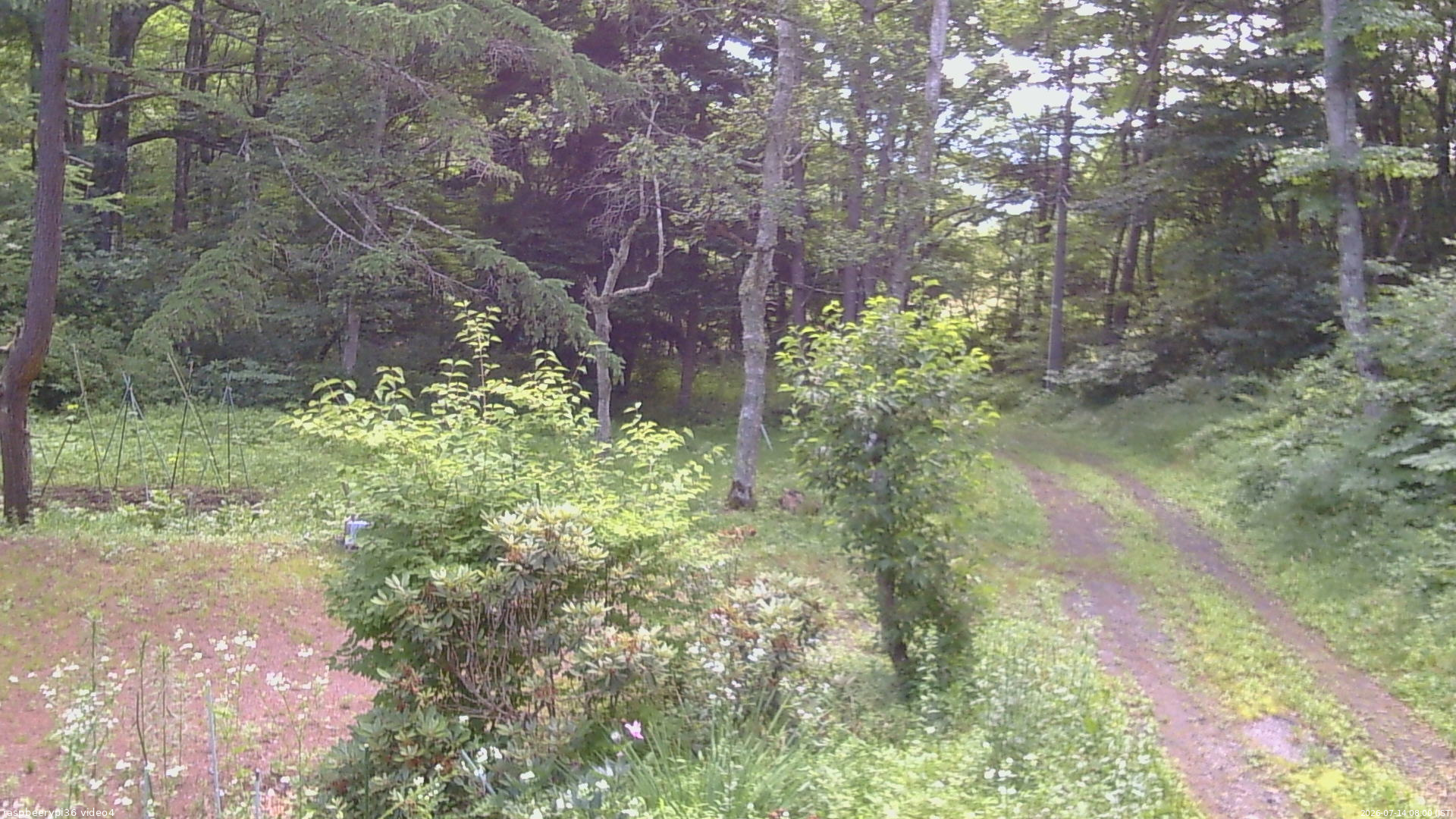 長野県菅平高原 ゆたか山荘 坂上 2026/07/14 08:00