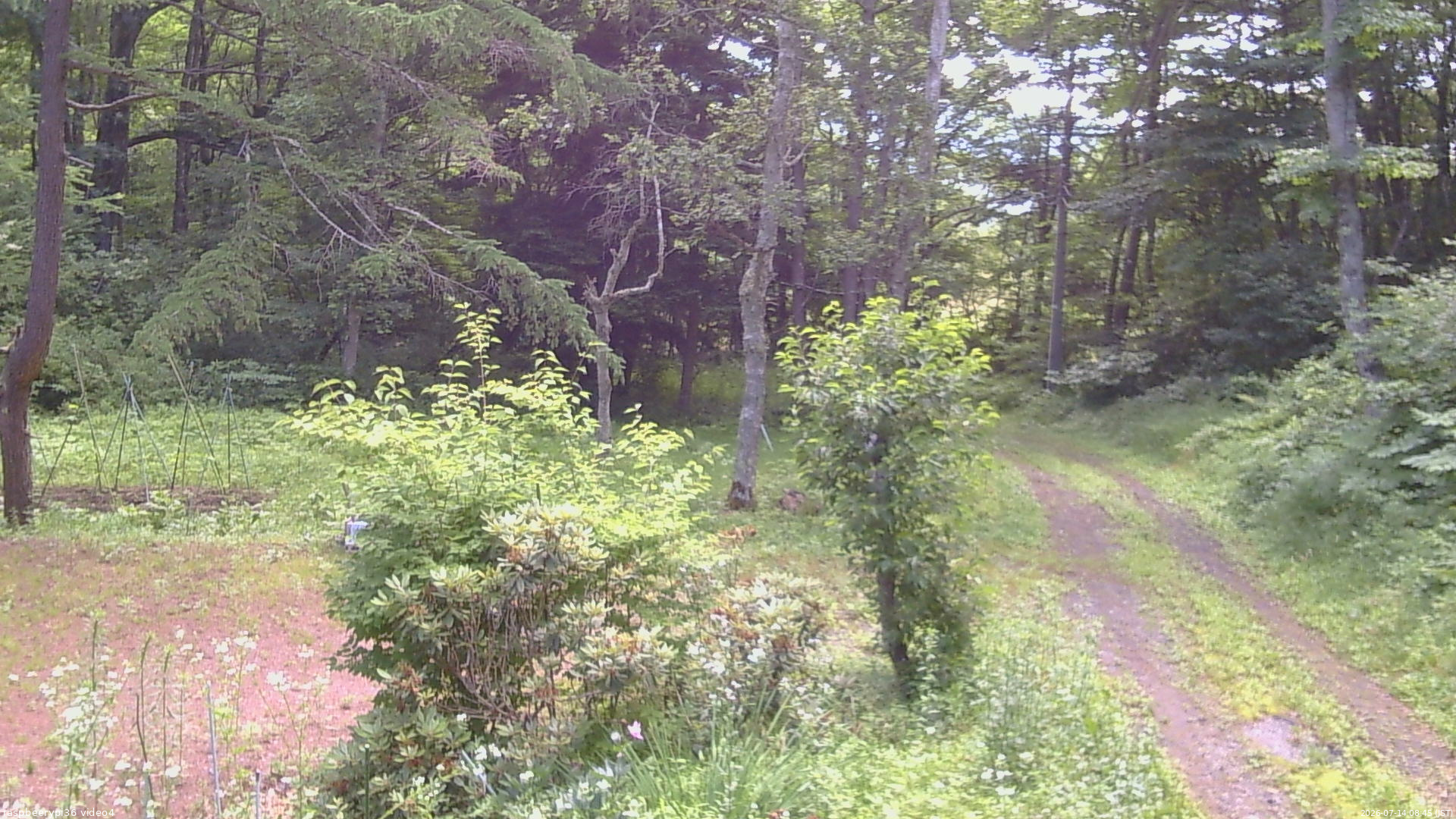 長野県菅平高原 ゆたか山荘 坂上 2026/07/14 08:45