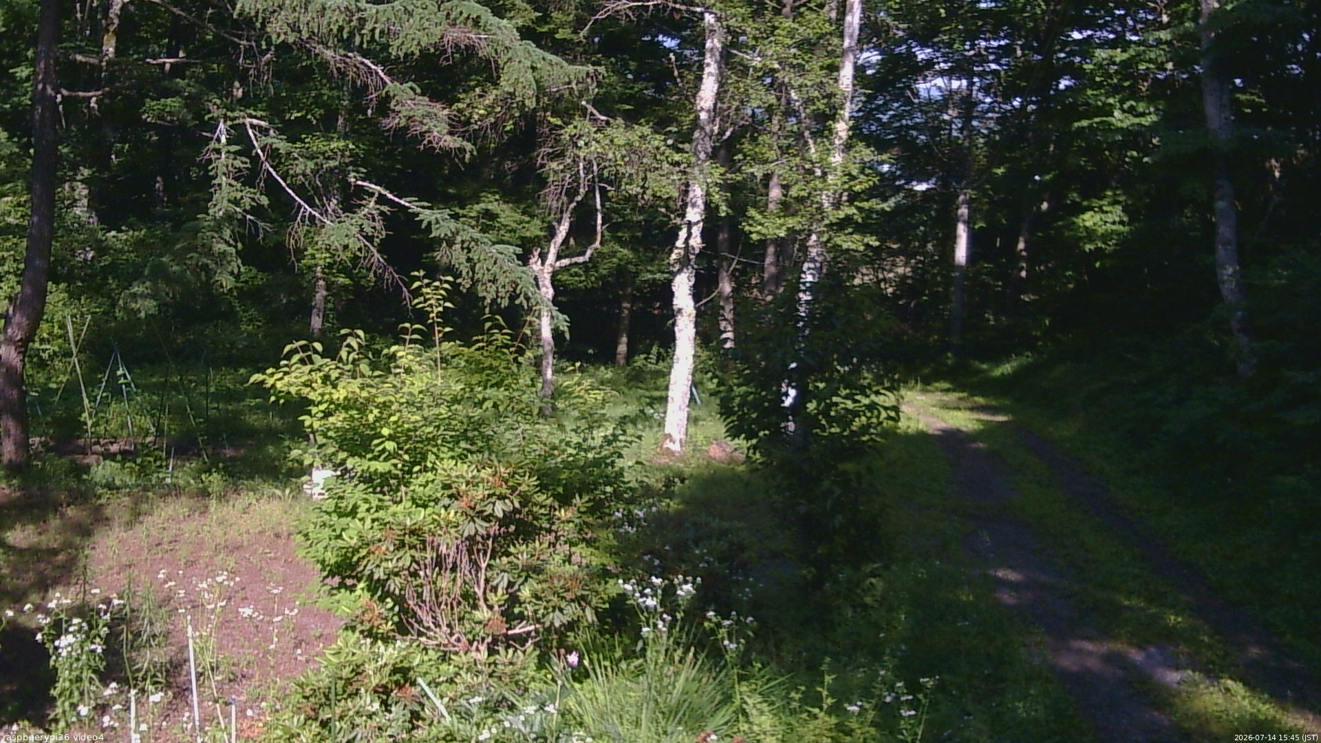 長野県菅平高原 ゆたか山荘 坂上 2026/07/14 15:45