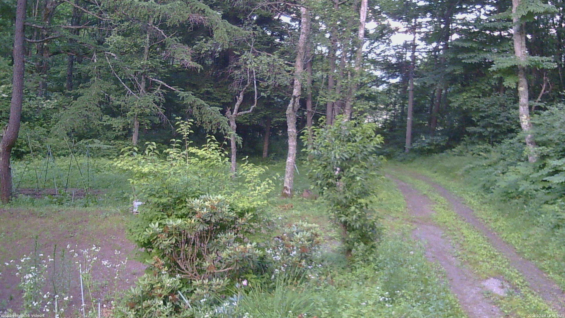 長野県菅平高原 ゆたか山荘 坂上 2026/07/14 18:15