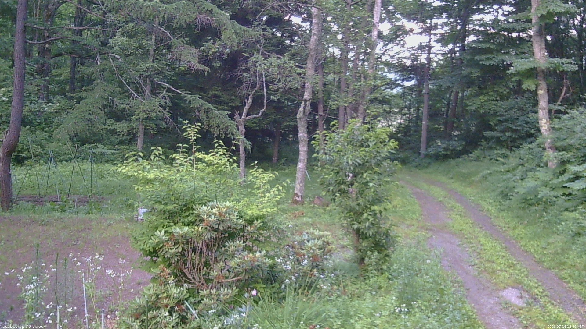 長野県菅平高原 ゆたか山荘 坂上 2026/07/14 18:30
