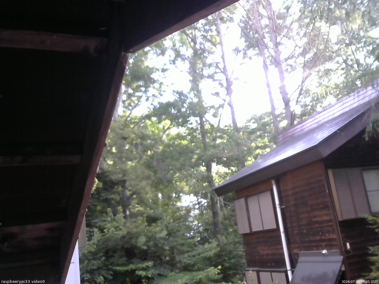 長野県菅平高原 ゆたか山荘 北側 2026/07/15 06:45