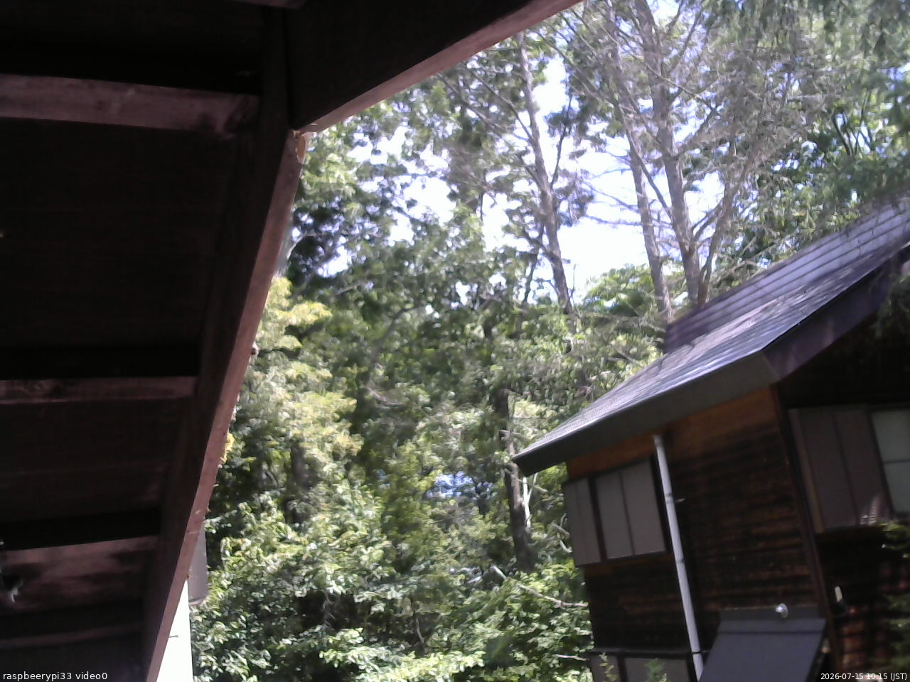 長野県菅平高原 ゆたか山荘 北側 2026/07/15 10:15