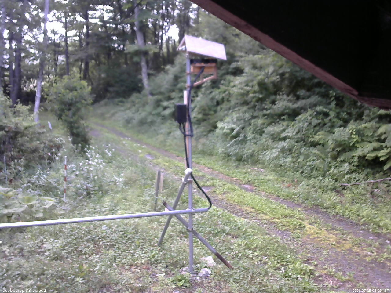 長野県菅平高原 ゆたか山荘 南側 2026/07/15 06:00