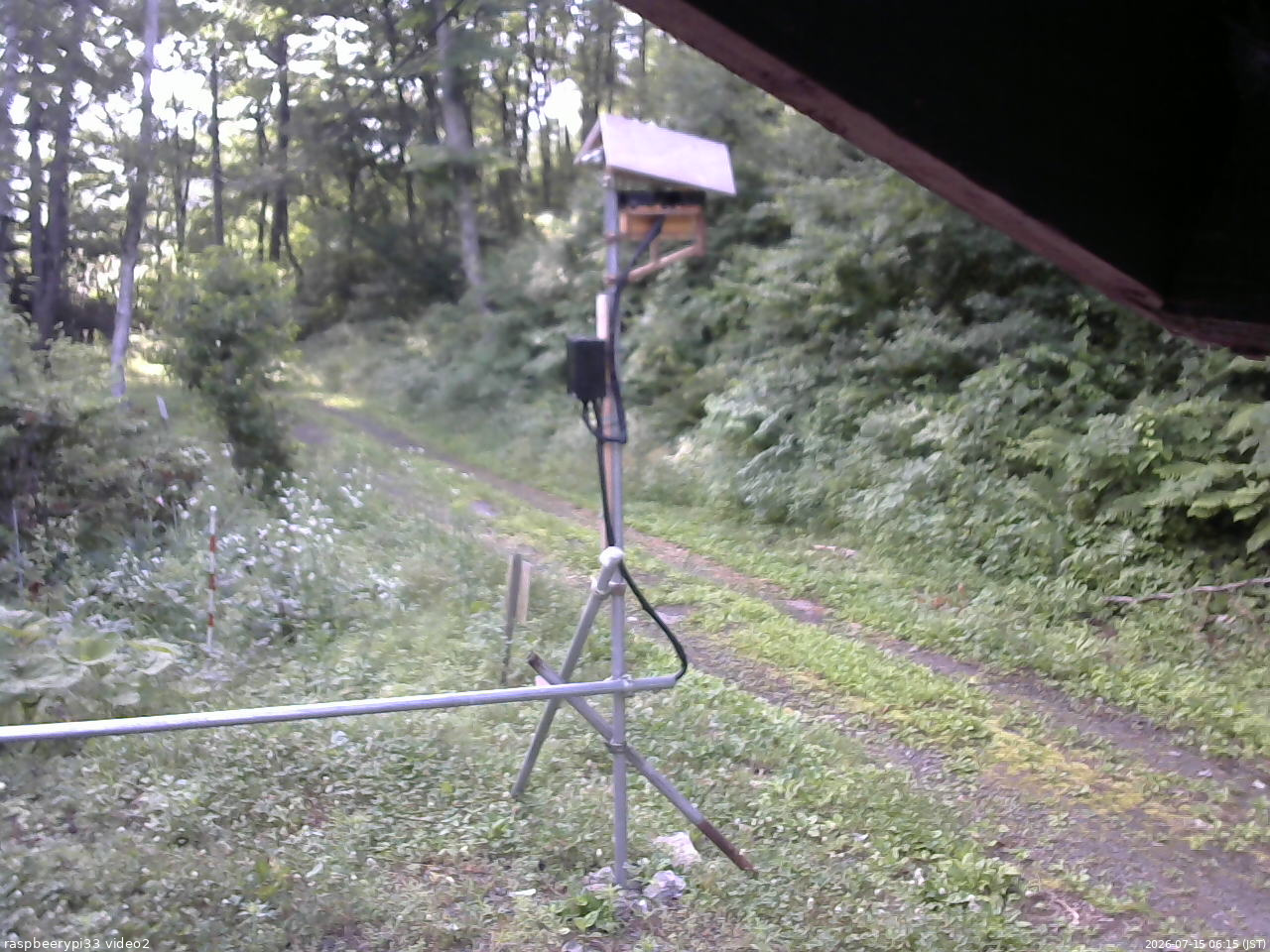 長野県菅平高原 ゆたか山荘 南側 2026/07/15 06:15
