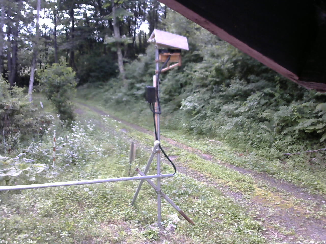長野県菅平高原 ゆたか山荘 南側 2026/07/15 08:00
