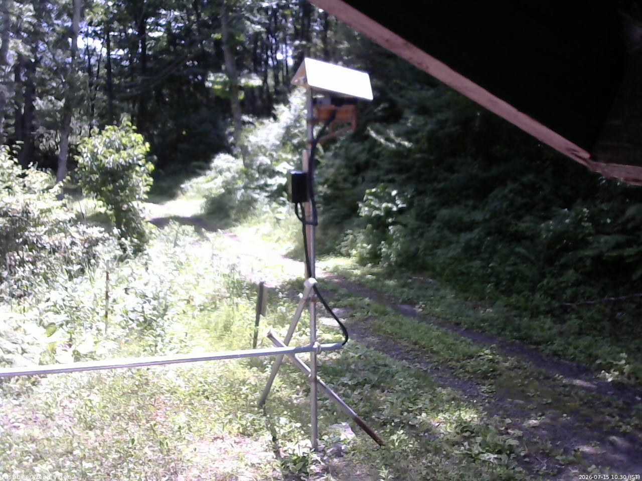 長野県菅平高原 ゆたか山荘 南側 2026/07/15 10:30