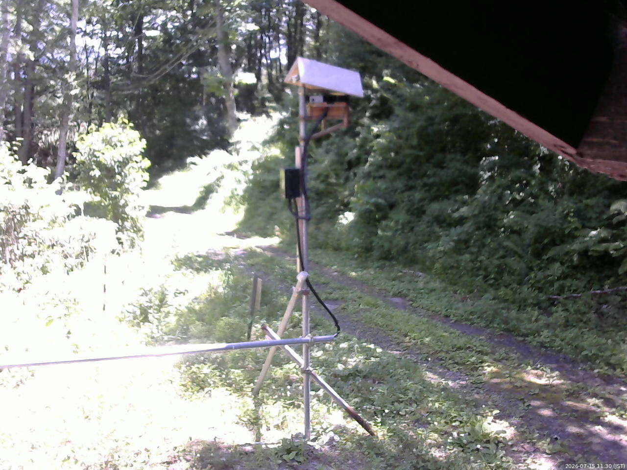 長野県菅平高原 ゆたか山荘 南側 2026/07/15 11:30